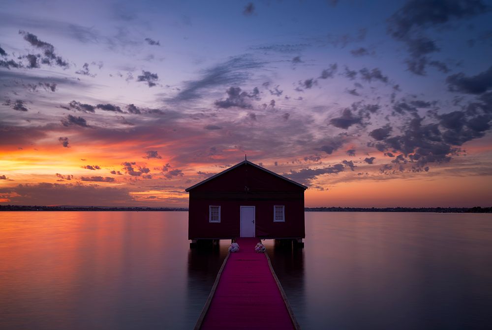 Tickled Pink art print by Richard Vandewalle for $57.95 CAD
