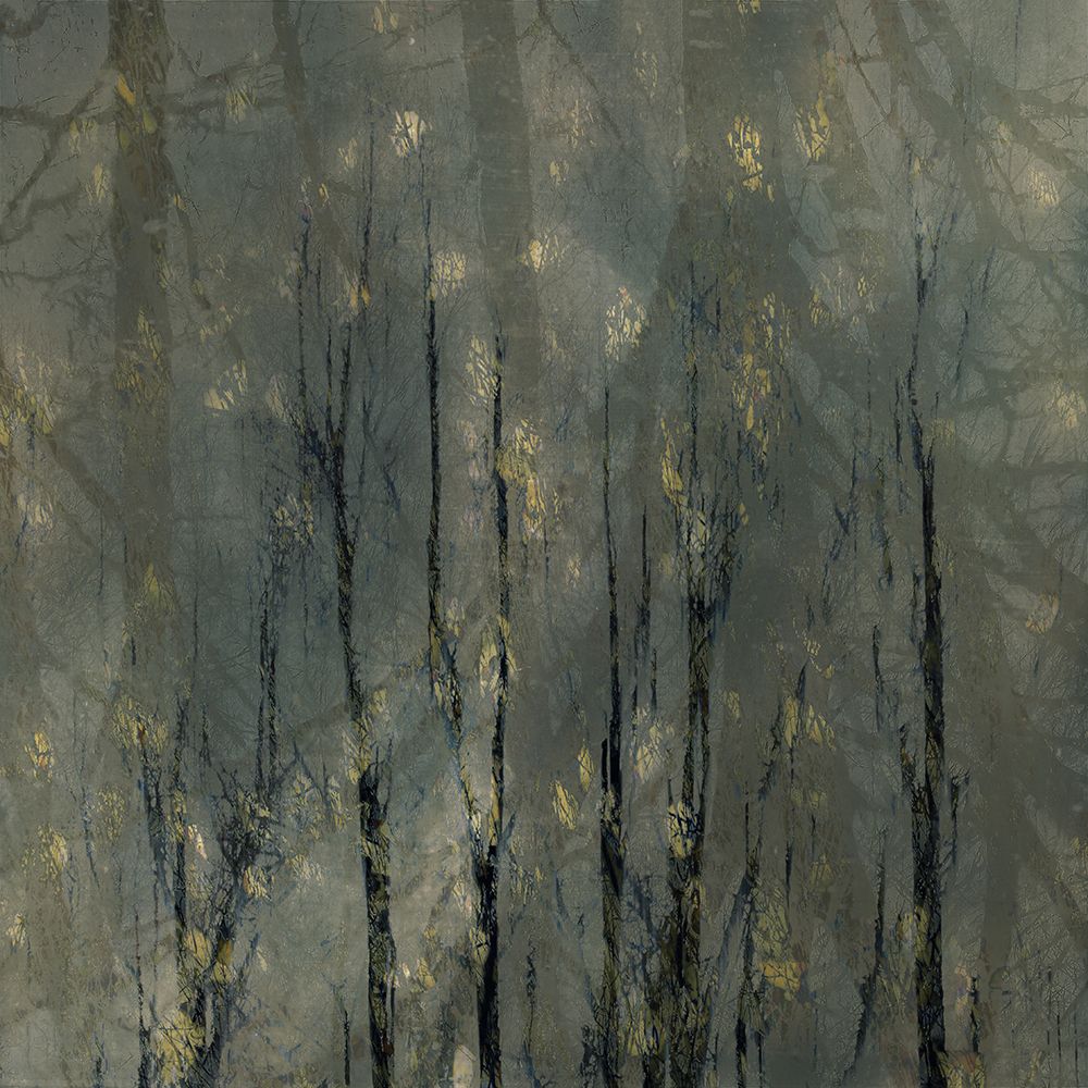 Bald Trees art print by Nel Talen for $57.95 CAD