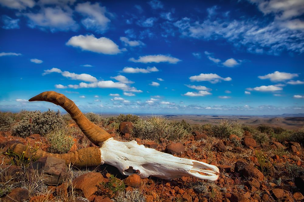 Harsh Land art print by Mario Moreno for $57.95 CAD