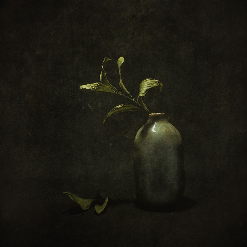 Under Harsh Light art print by Cicek Kiral for $57.95 CAD