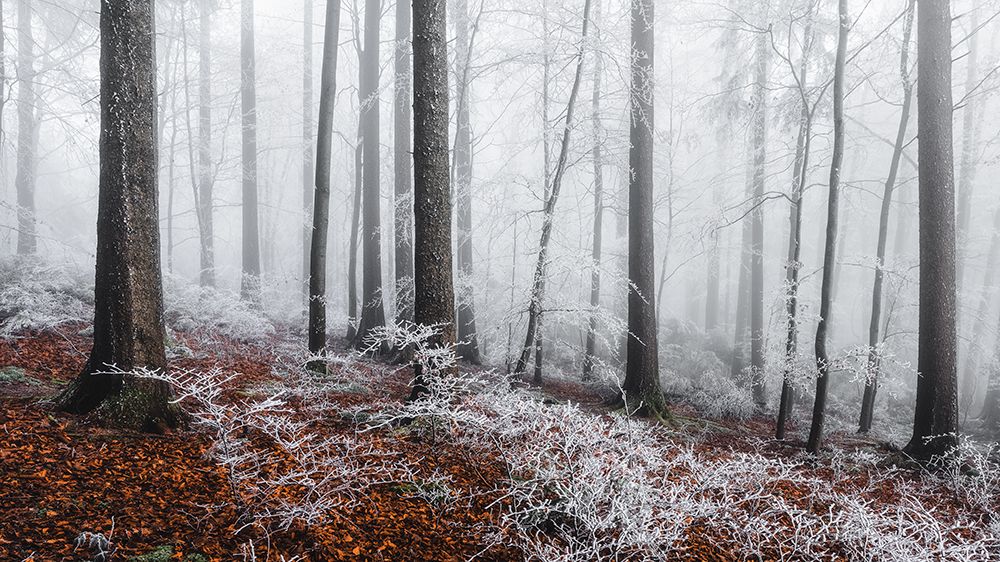 Winter moods art print by Burim Muqa for $57.95 CAD