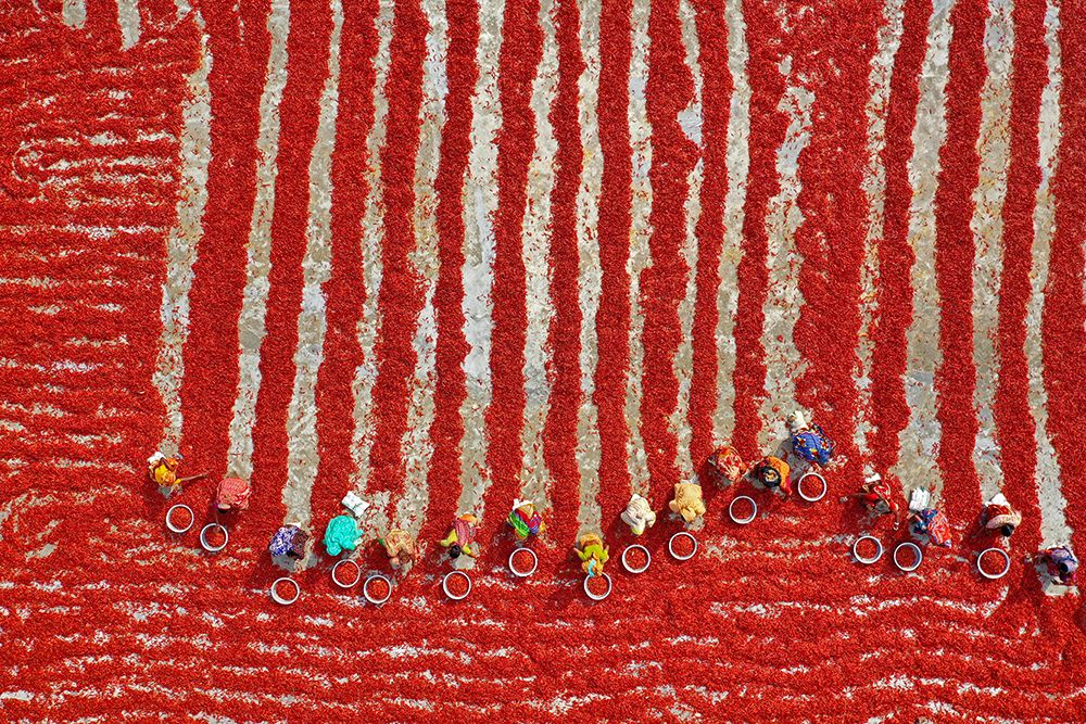 Drying Red Chilies art print by Azim Khan Ronnie for $57.95 CAD