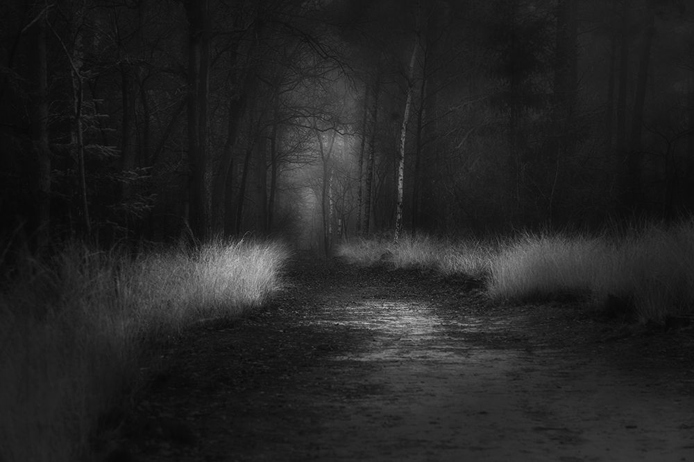 Shades In Black art print by Saskia Dingemans for $57.95 CAD