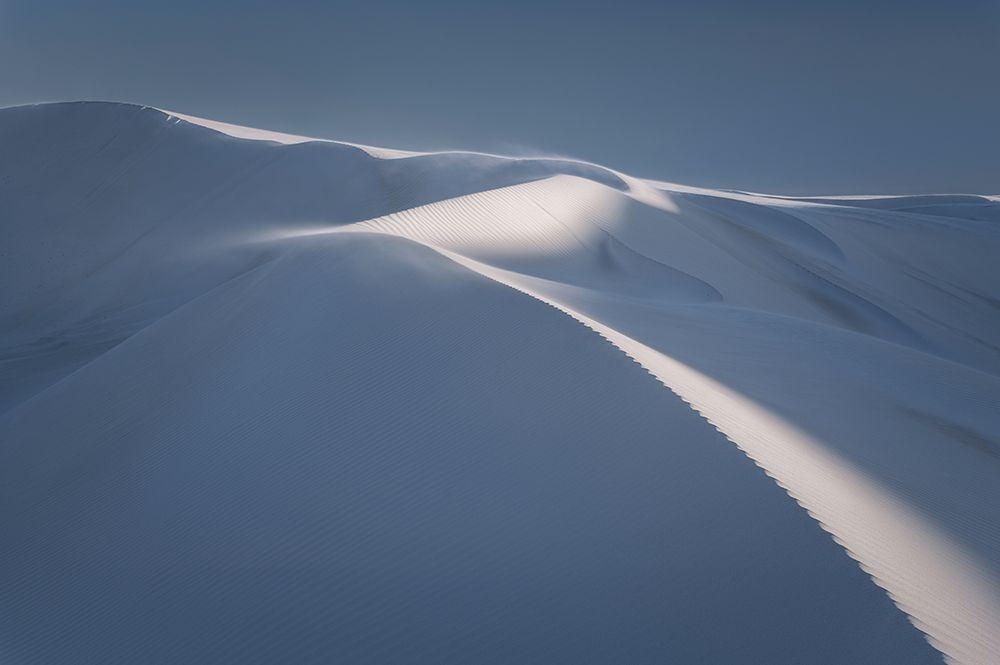 Windswept art print by Richard Vandewalle for $57.95 CAD