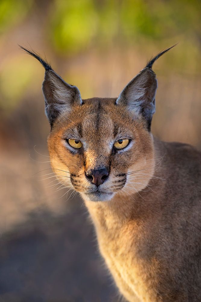Piercing Eyes art print by Mario Moreno for $57.95 CAD