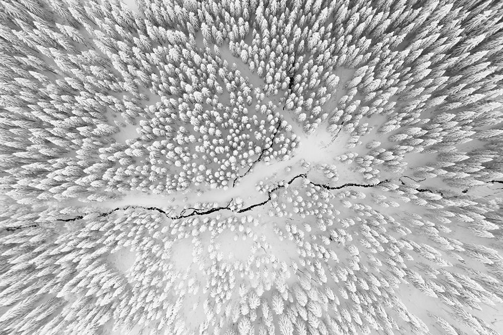 Winter art print by Christoph Hessel for $57.95 CAD