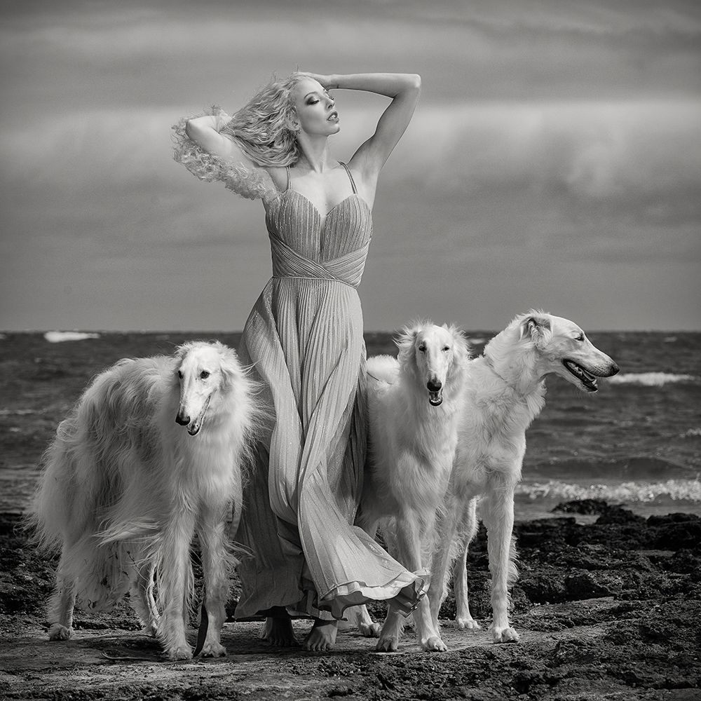 Lady with Hounds by Peter Elgar