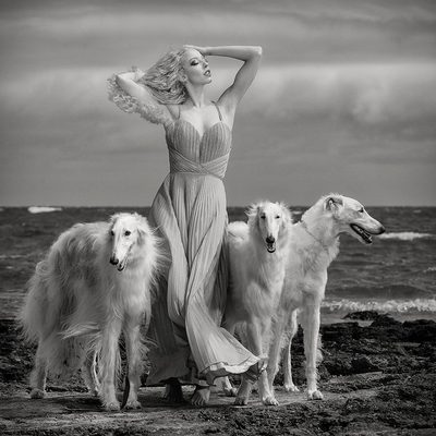 Lady with Hounds by Peter Elgar
