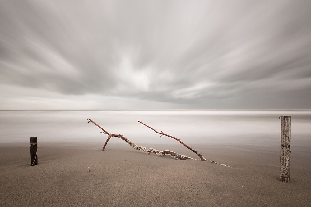 In The Wind art print by Massimo Della Latta for $57.95 CAD