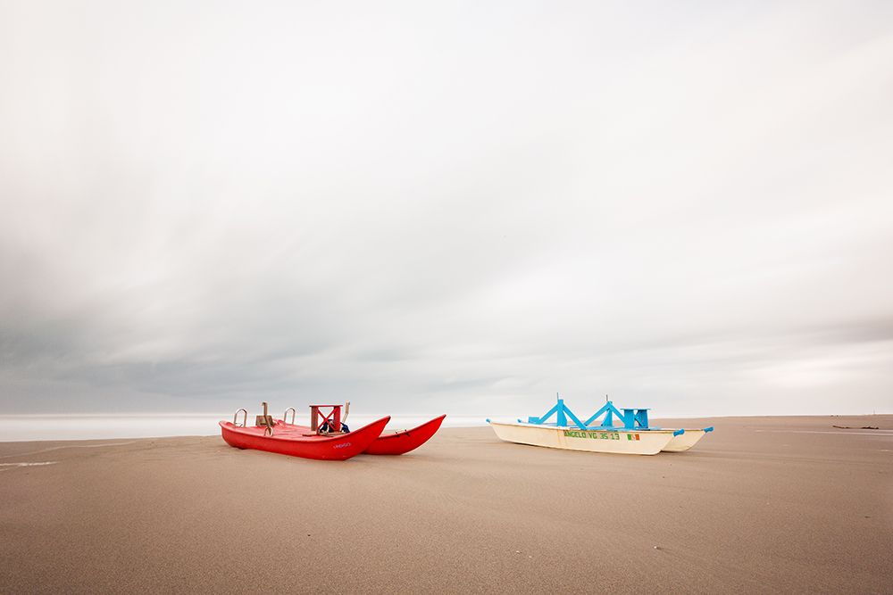In the wind 2 art print by Massimo Della Latta for $57.95 CAD