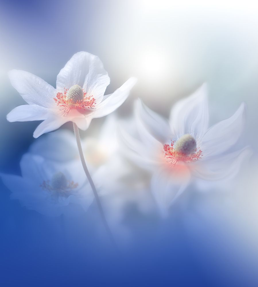 Dancers In My Mind.. art print by Juliana Nan for $57.95 CAD