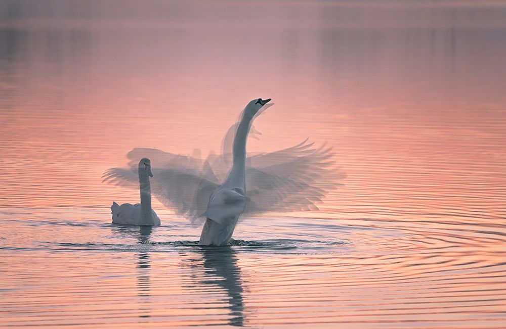 Dancing For You art print by Aidong Ning for $57.95 CAD