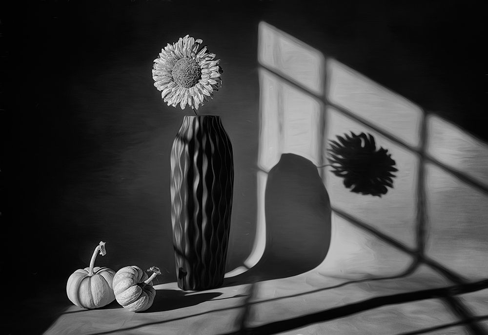Shine Day art print by Lydia Jacobs for $57.95 CAD