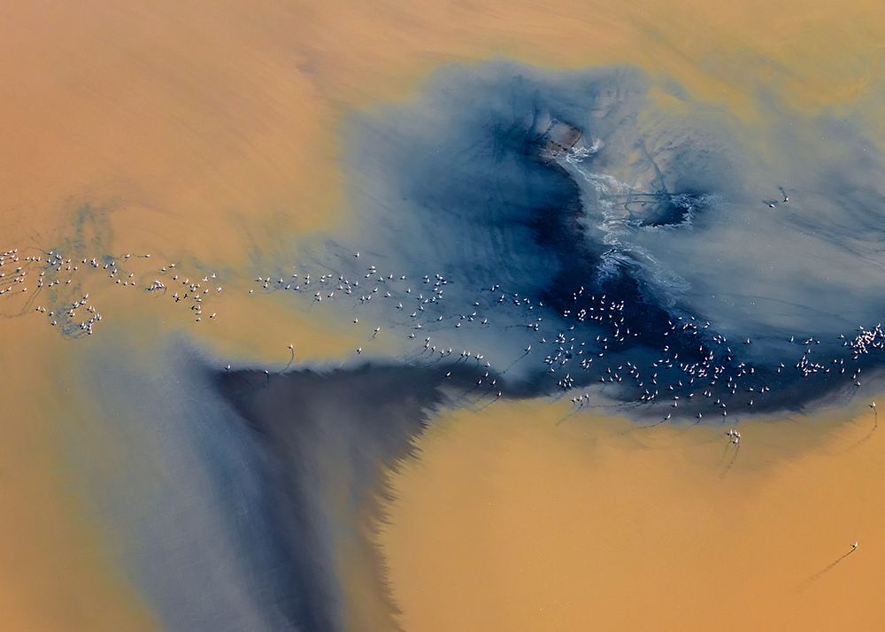 Painting of nature art print by Annie Poreider for $57.95 CAD