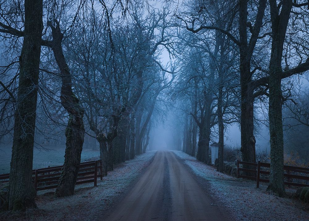 Sleepy Hollow art print by Christian Lindsten for $57.95 CAD