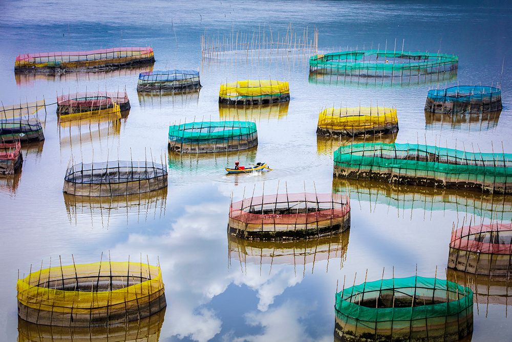 Fisherman Life art print by Ryu Shin Woo for $57.95 CAD