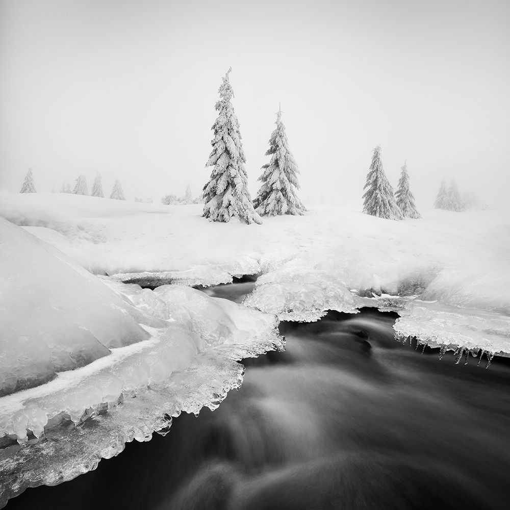 Ice Creek... art print by Daniel Rericha for $57.95 CAD
