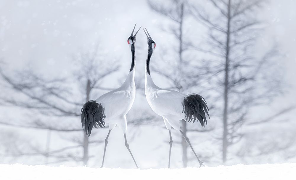 In Love art print by Larry Deng for $57.95 CAD