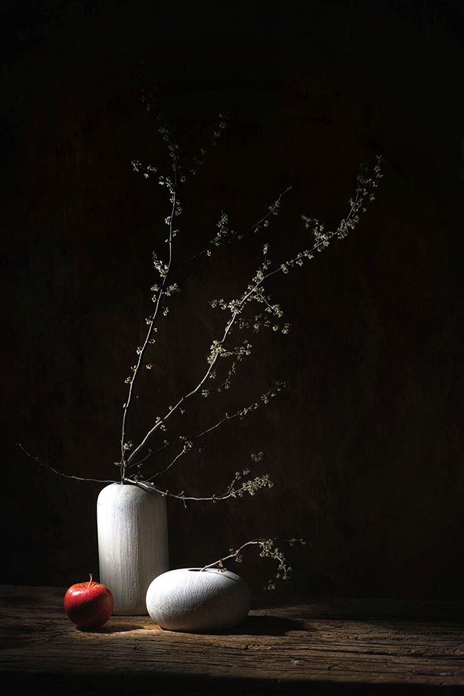 Frozen In Spring art print by Saskia Dingemans for $57.95 CAD