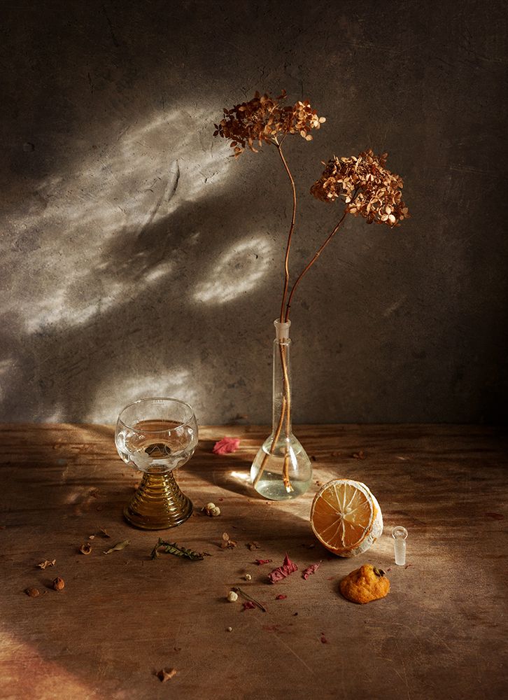 With Limoll And Hydrangea February Light art print by Ala Pneuma for $57.95 CAD