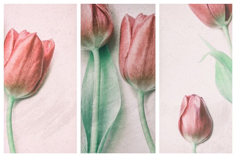 Red Elegance art print by Delphine Devos for $57.95 CAD