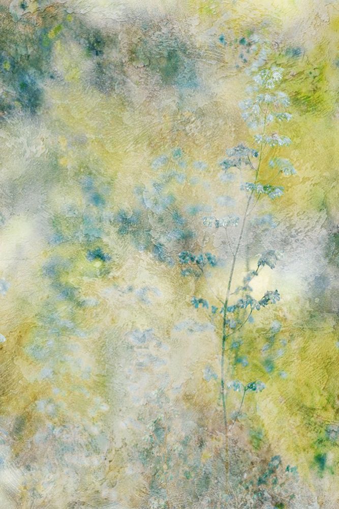 Everything art print by Delphine Devos for $57.95 CAD
