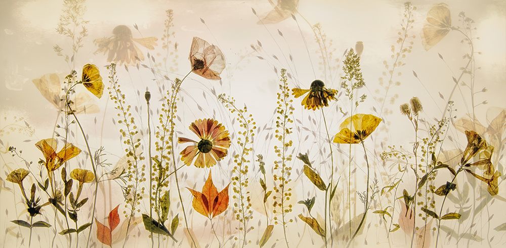 In The Field... art print by Nel Talen for $57.95 CAD