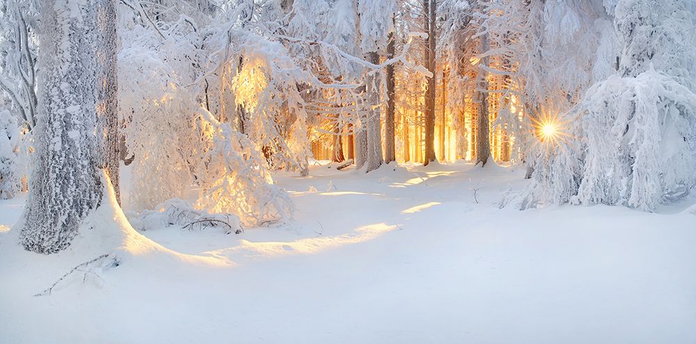 Bright Spots art print by Burger Jochen for $57.95 CAD