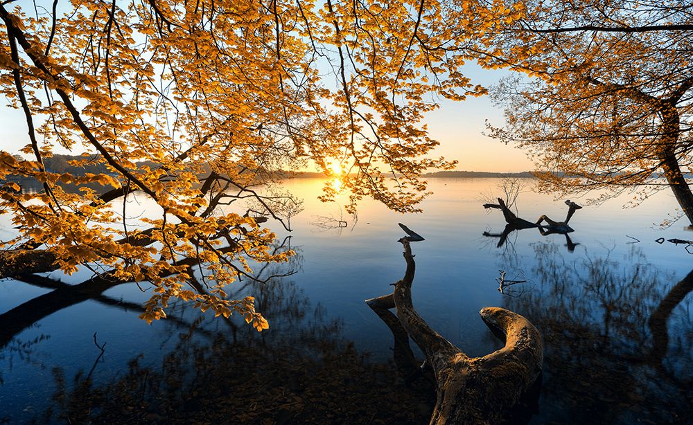 Autumn Morning art print by Keller for $57.95 CAD