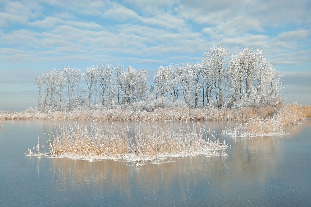 Winter art print by Piet Haaksma for $57.95 CAD
