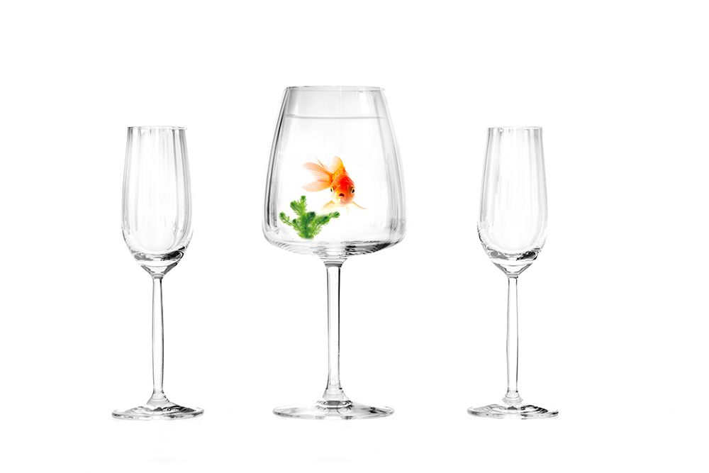 Wrong fishbowl....... art print by Piet Haaksma for $57.95 CAD