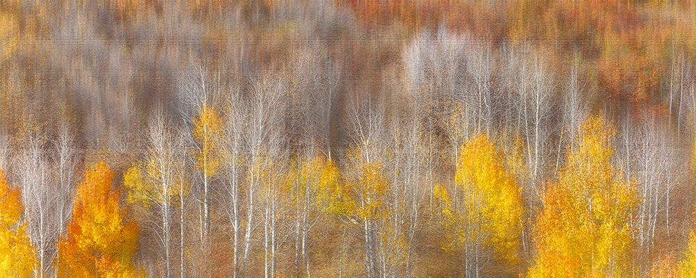 Autumn Painting art print by Mei Xu for $57.95 CAD