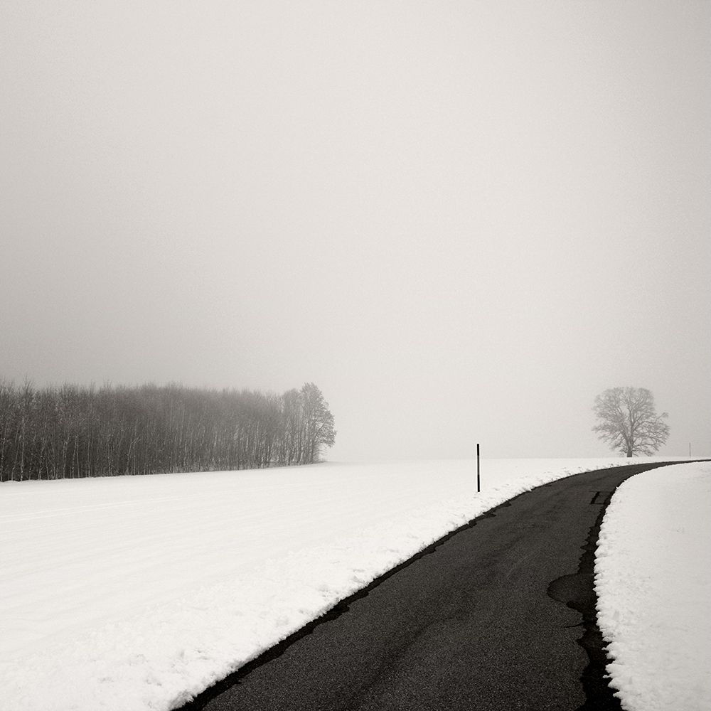 Curve In Snow art print by Lena Weisbek for $57.95 CAD