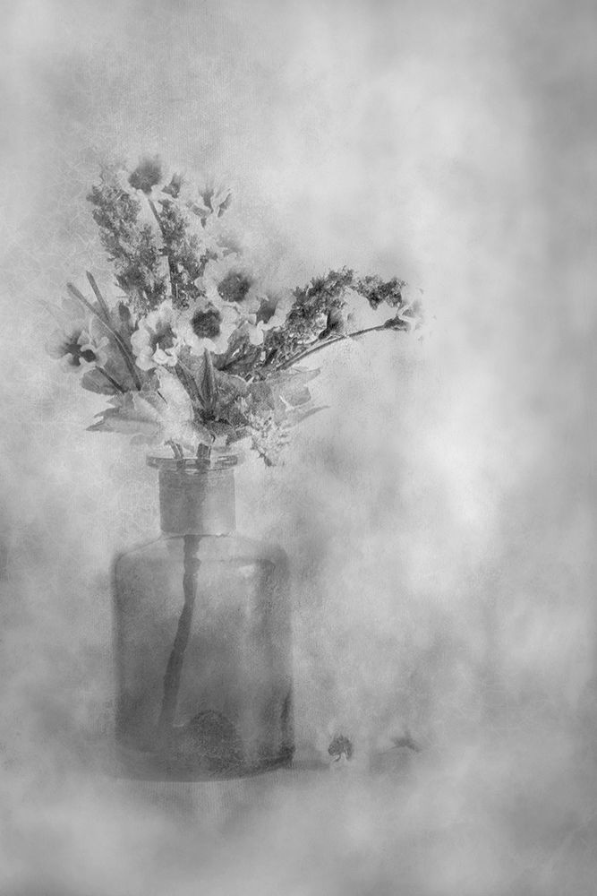 Faded art print by Cicek Kiral for $57.95 CAD