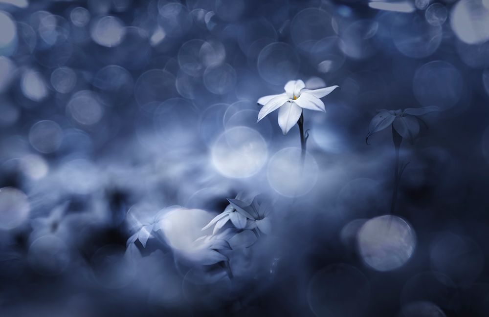 Sparkling Background art print by Takashi Suzuki for $57.95 CAD
