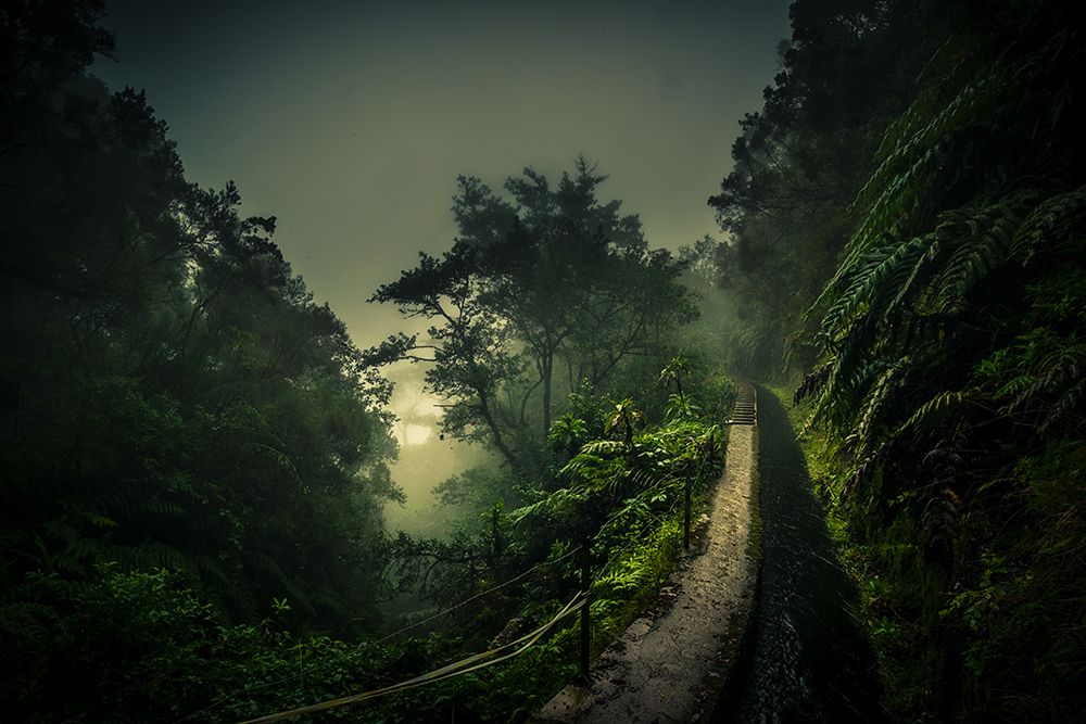 Levada Walk art print by Roland Weber for $57.95 CAD