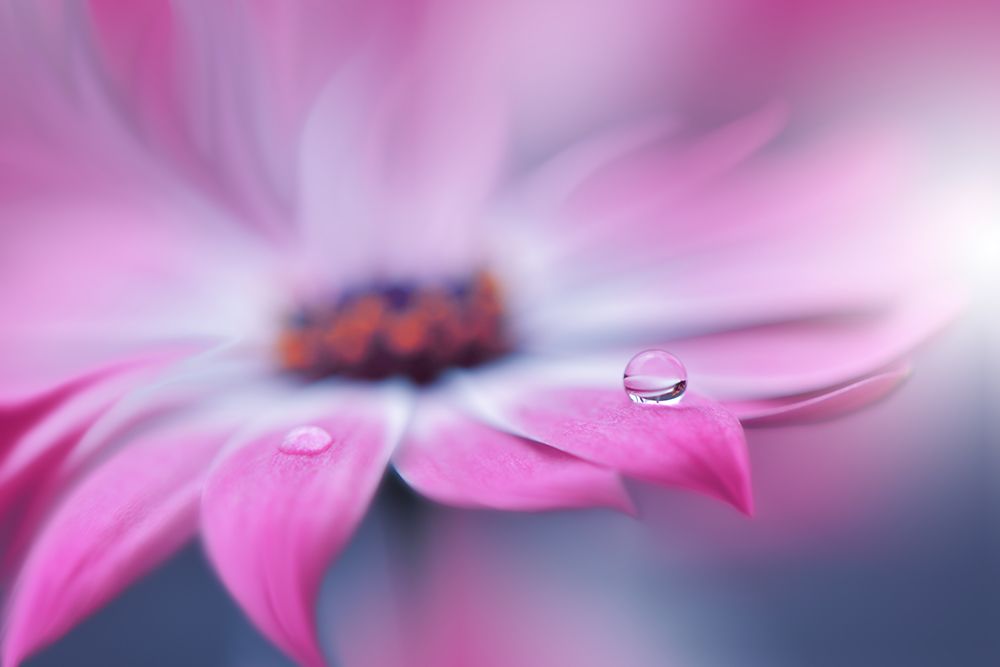 Untitled art print by Juliana Nan for $57.95 CAD