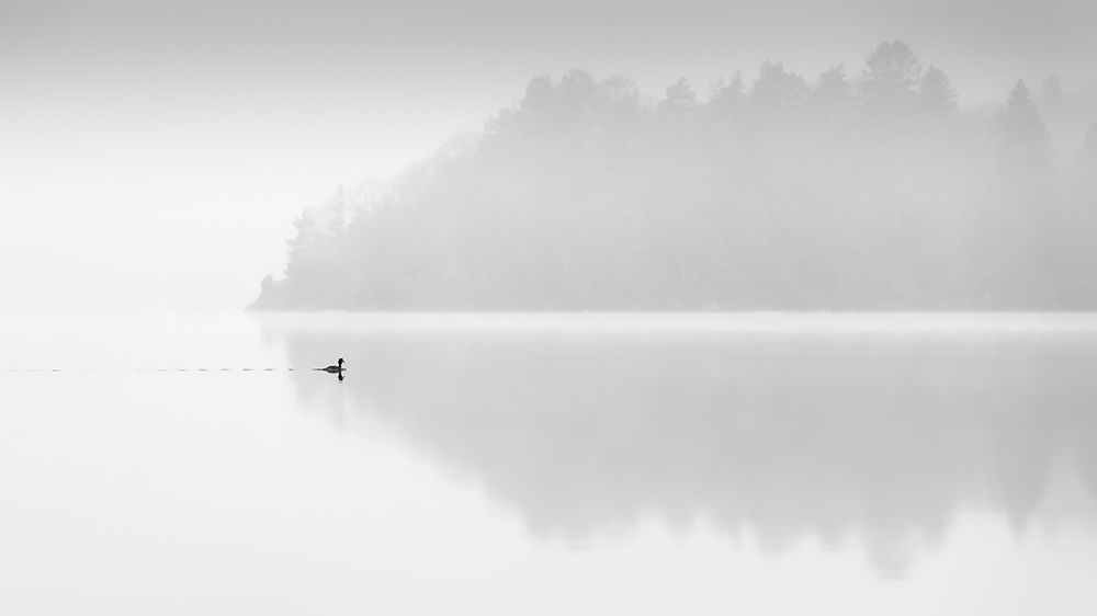 Alena art print by Benny Pettersson for $57.95 CAD