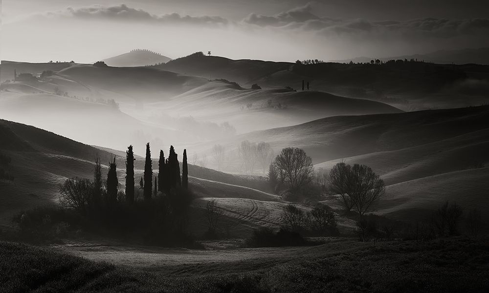 In The Morning art print by Fabrizio Massetti for $57.95 CAD
