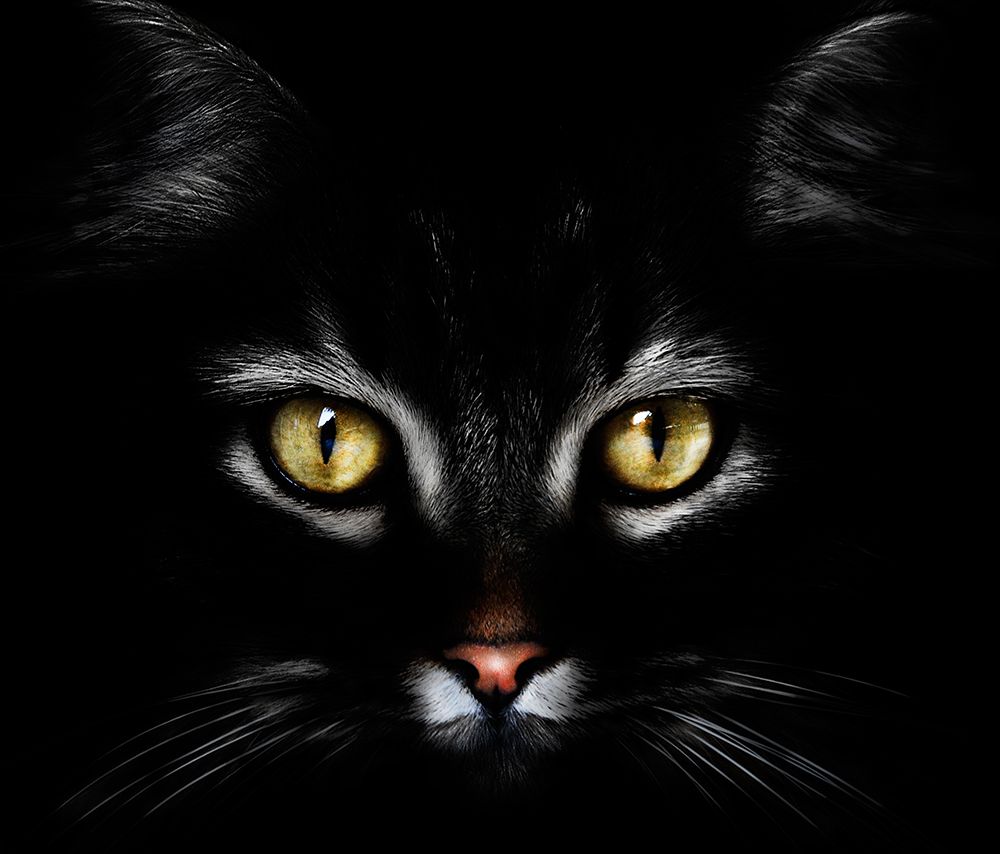 Untitled art print by Antonio Grambone for $57.95 CAD