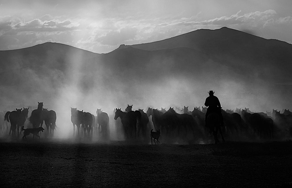 cowboy art print by Emine Basa for $57.95 CAD