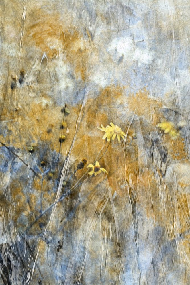 A Time Of Freedom art print by Delphine Devos for $57.95 CAD