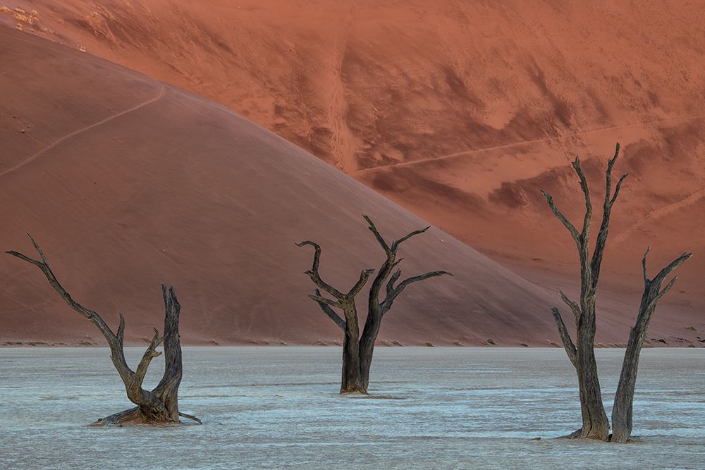 Deadvlei art print by Luigi Ruoppolo for $57.95 CAD