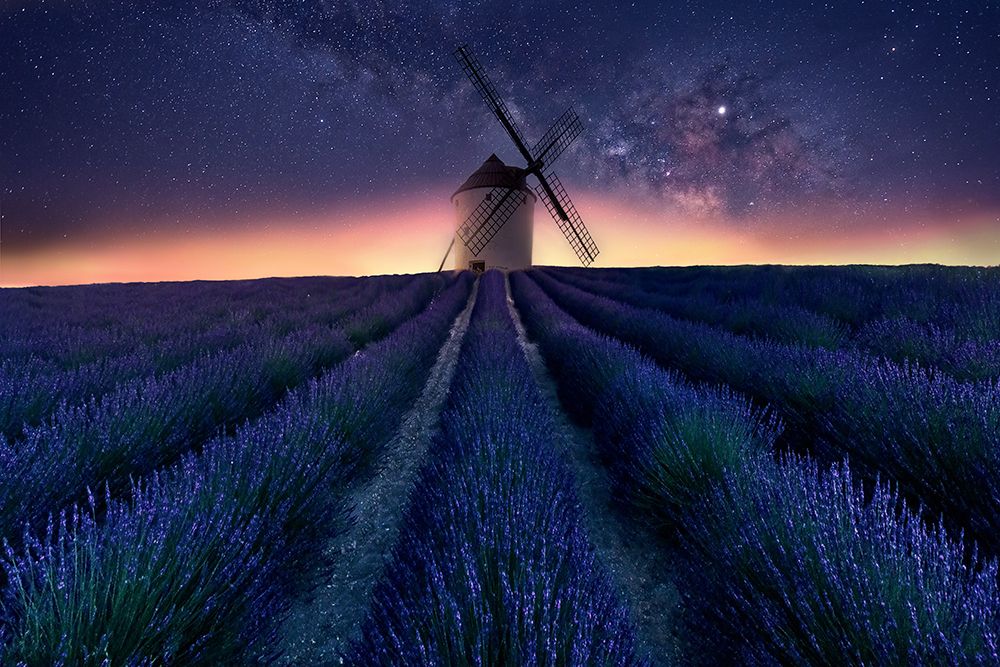 Lavender Night art print by Jose Antonio Trivino for $57.95 CAD