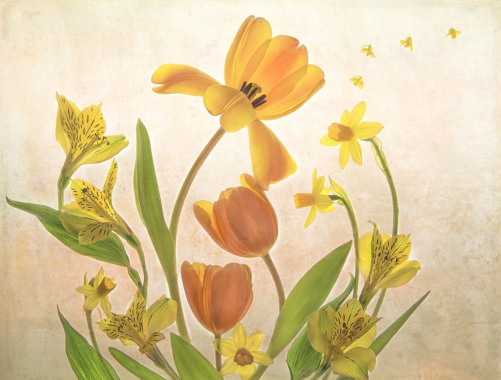 Mother art print by Catherine W. for $57.95 CAD