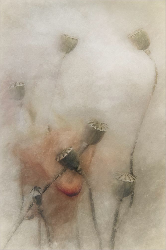 Hopeful Future art print by Gilbert Claes for $57.95 CAD