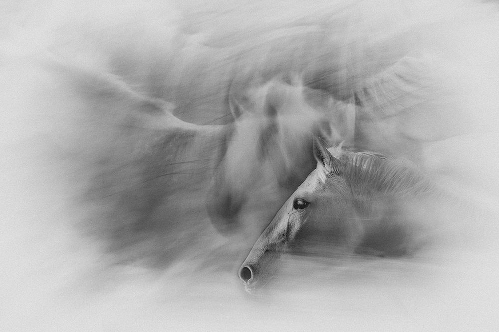 On a white sheet of paper art print by Milan Malovrh for $57.95 CAD