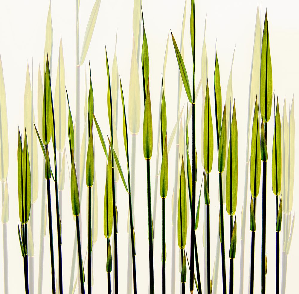 A New Beginning art print by Nel Talen for $57.95 CAD