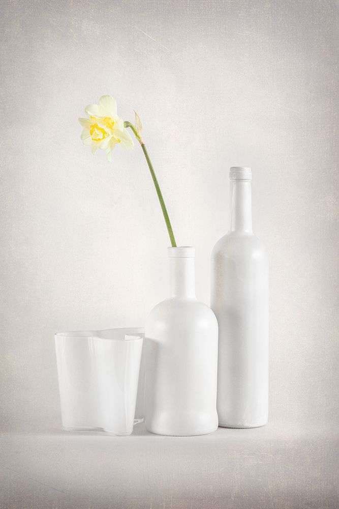 Whitebloom art print by Richie Hatch for $57.95 CAD