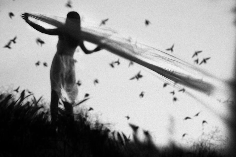 fly away art print by Hari Sulistiawan for $57.95 CAD